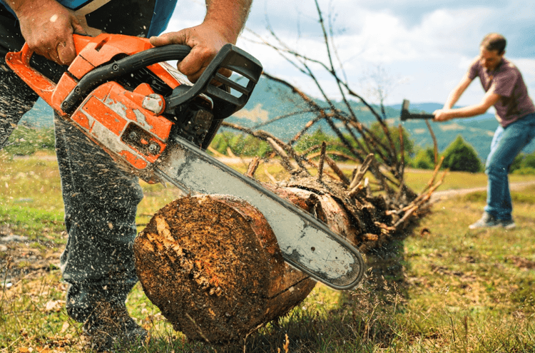 Cutting a log with a chainsaw