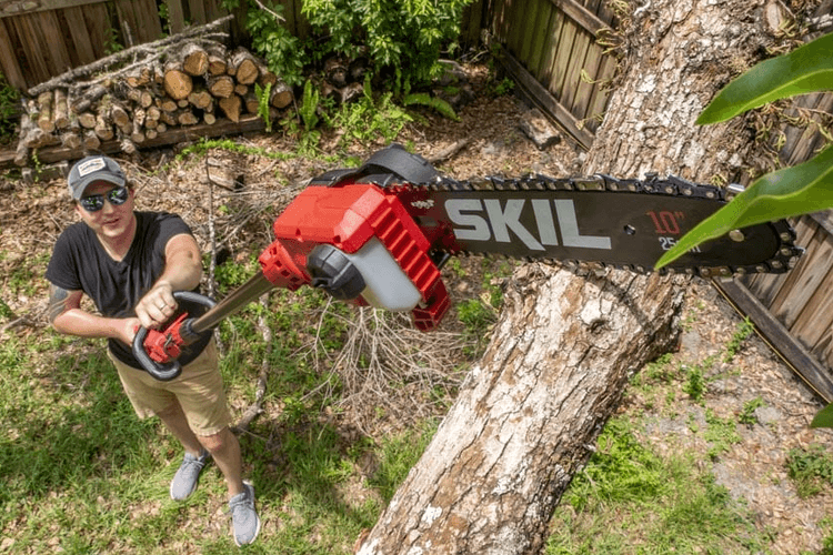 Pruning a tree with a pole saw