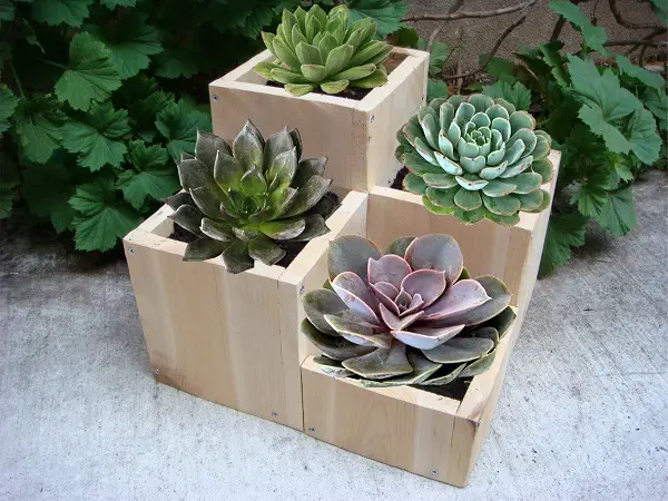 diy wooden plant holders