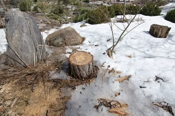 sawdust as fake snow