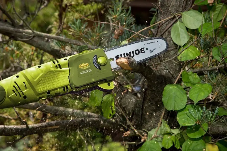 Sun Joe SWJ803E-CMO Pole Saw Review