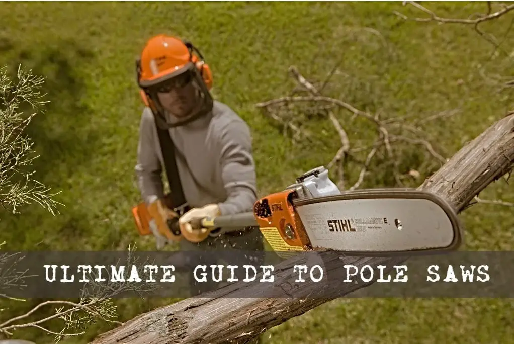 stihl electric tree trimmer