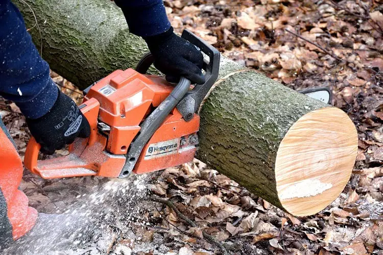 Chainsaws 101 – A Complete Beginner’s Guide 1