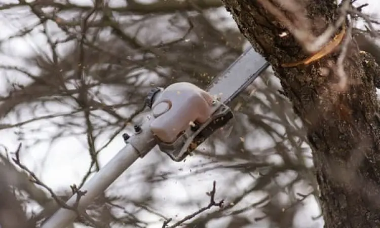 power pole tree trimmer