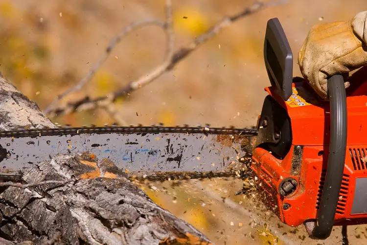 using a chainsaw