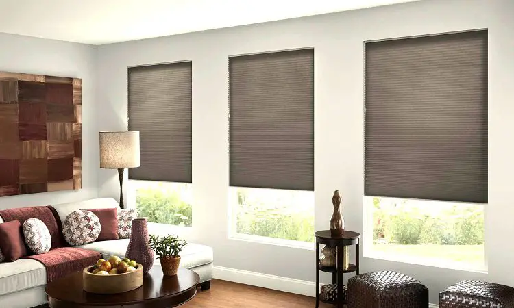 7 Important Things You Need To Know If Hiring Specialist Blinds Company 1