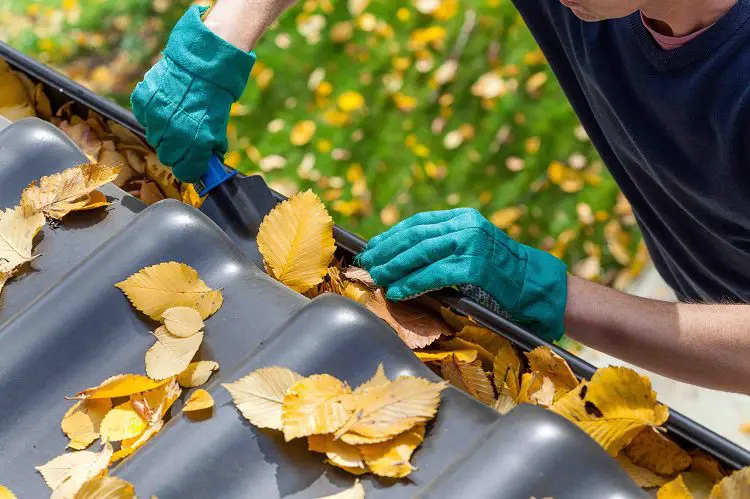 6 Home Maintenance Services To Consider If You're Always Short On Time 1